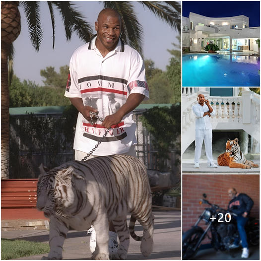 The Stories Detailing Mike Tyson’s Life, The Richest Mansion In L.a ...