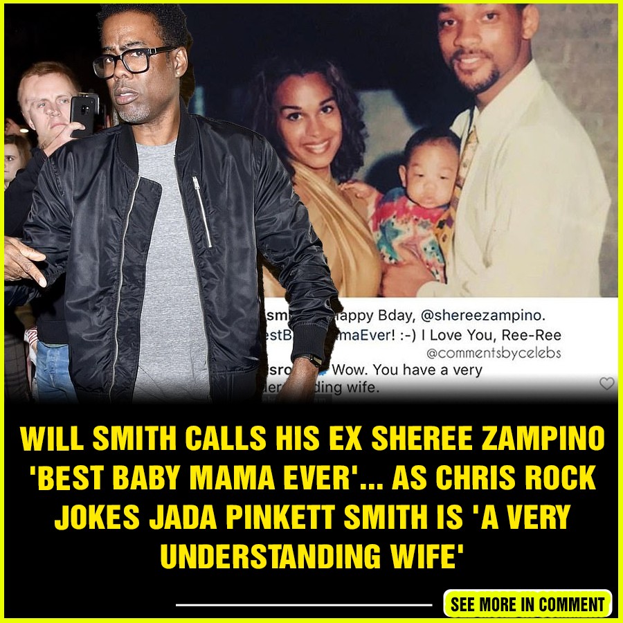 Will Smith calls his ex Sheree Zampino 'Best Baby Mama Ever'... as