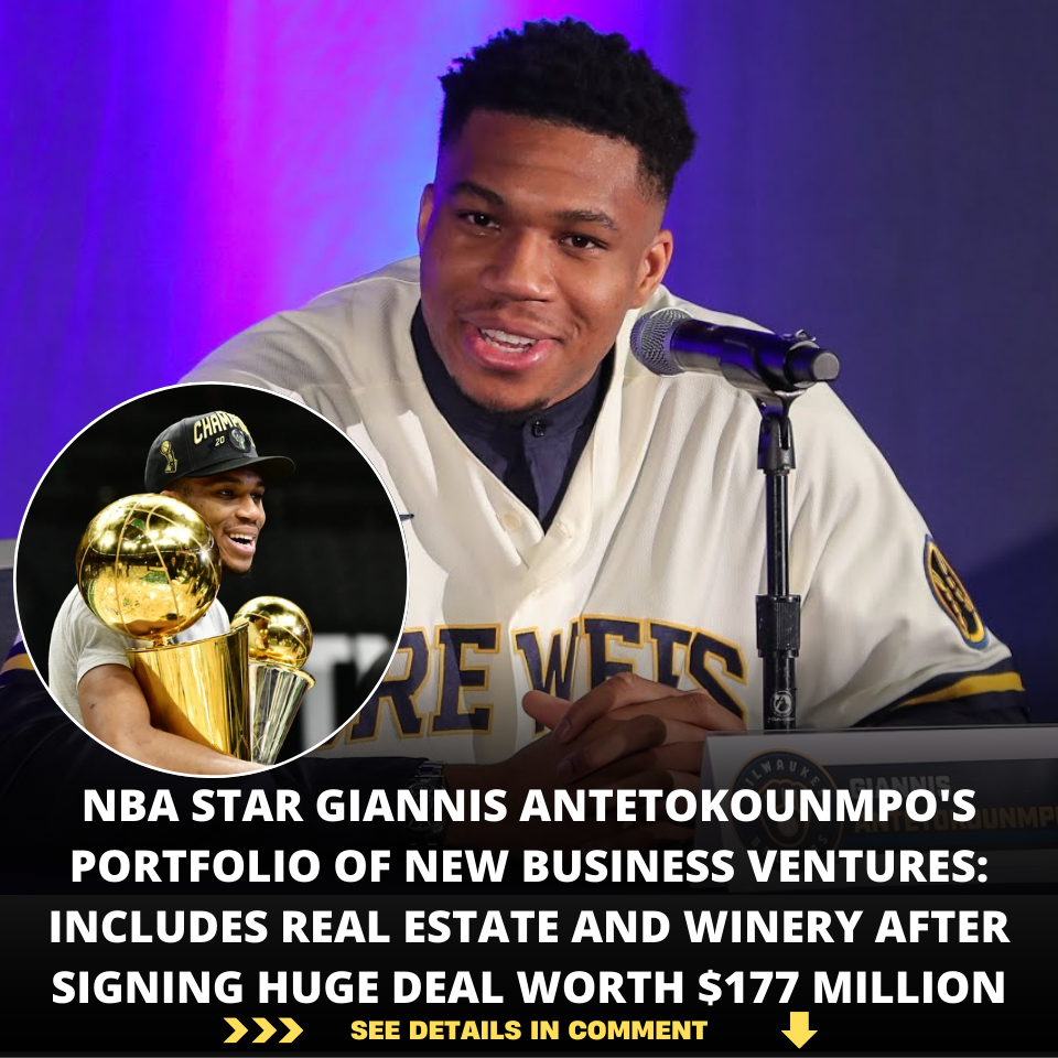 NBA STAR GIANNIS ANTETOKOUNMPO'S PORTFOLIO OF NEW BUSINESS VENTURES ...