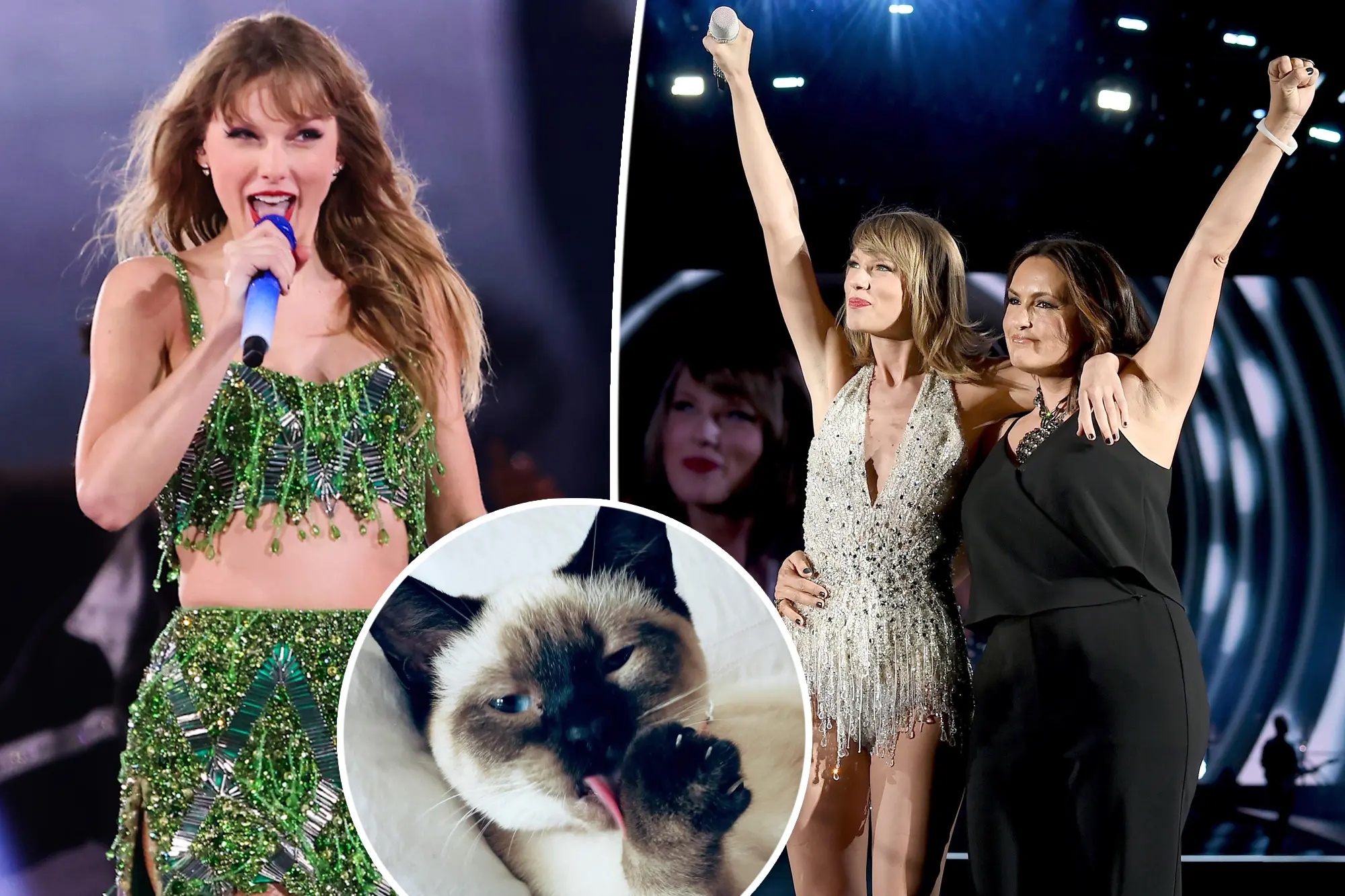 Full Circle! Mariska Hargitay Names Cat Karma in Honor of Taylor Swift(02)