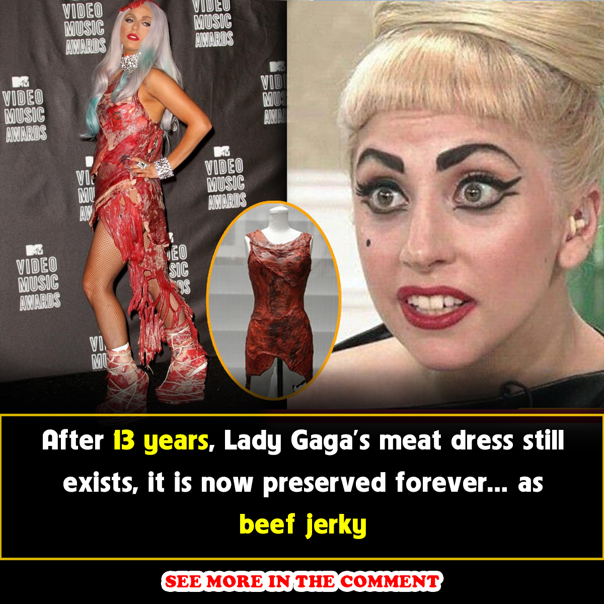 After 13 years, Lady Gaga’s meat dress still exists, it is now