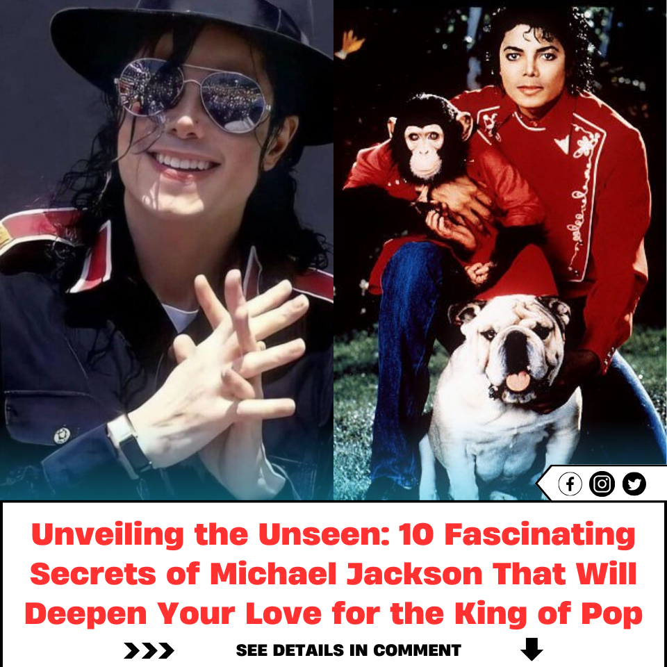 Unveiling The Unseen: 10 Fascinating Secrets Of Michael Jackson That ...