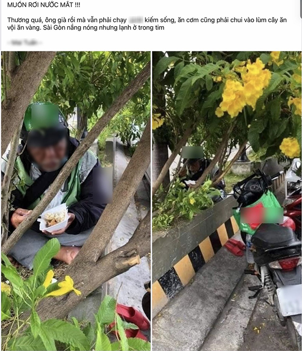Bác tài xế già chui vào lùm cây ăn vội hộp cơm để kịp giờ đón khách giữa cái nắng nóng Sài Gòn - Ảnh 1.