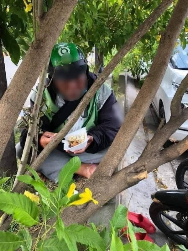 Bác tài xế già chui vào lùm cây ăn vội hộp cơm để kịp giờ đón khách giữa cái nắng nóng Sài Gòn - Ảnh 2.