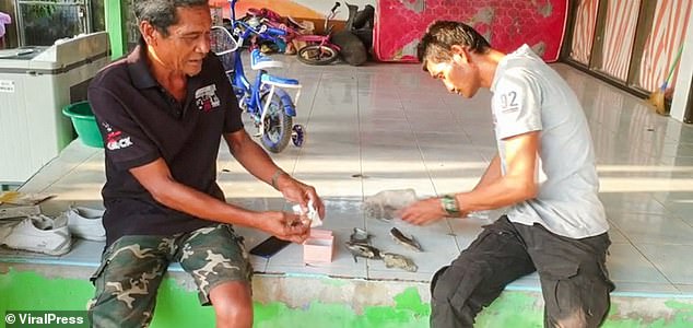 Thái Lan: Ngư dân nghèo đi nhặt vỏ sò, không ngờ tìm được ốc có ngọc, giá gần 8 tỉ đồng - Ảnh 1.