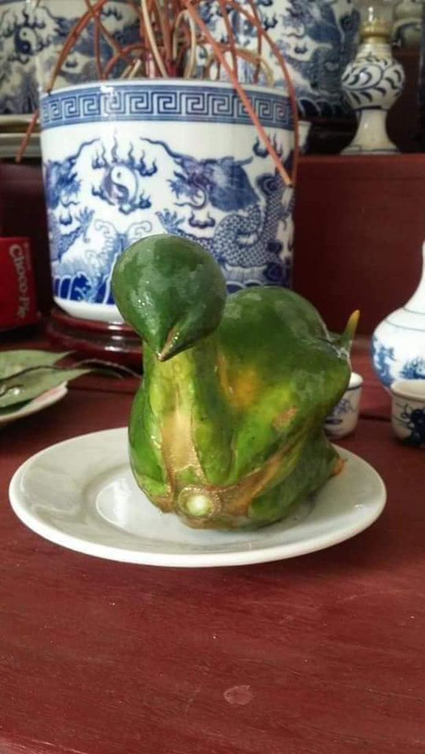 Quả đu đủ hiếm thấy nhất Việt Nam, uốn éo thành hình nguyên con gà luộc, nhiều người bảo phải chi nhân được giống thì mỗi dịp cúng kiếng đắt khách phải biết - Ảnh 2.