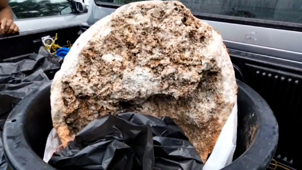 Dạo bờ biển, lão ngư dân nghèo bắt gặp khối đá được cho là báu vật biển lớn nhất thế giới từng được tìm thấy, chuẩn bị đổi đời thành triệu phú - Ảnh 4.