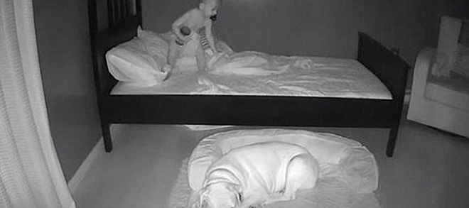 Sáng nào cũng thấy con trai ngủ trong ổ chó, bố mẹ bí mật đặt camera ngay trong phòng thì phát hiện sự thật ngã ngửa - Ảnh 2.