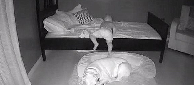 Sáng nào cũng thấy con trai ngủ trong ổ chó, bố mẹ bí mật đặt camera ngay trong phòng thì phát hiện sự thật ngã ngửa - Ảnh 3.