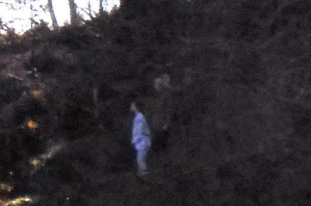 Đi dạo ở trong rừng rồi chụp ảnh, về nhà xem lại người đàn ông lập tức nổi da gà - Ảnh 2.