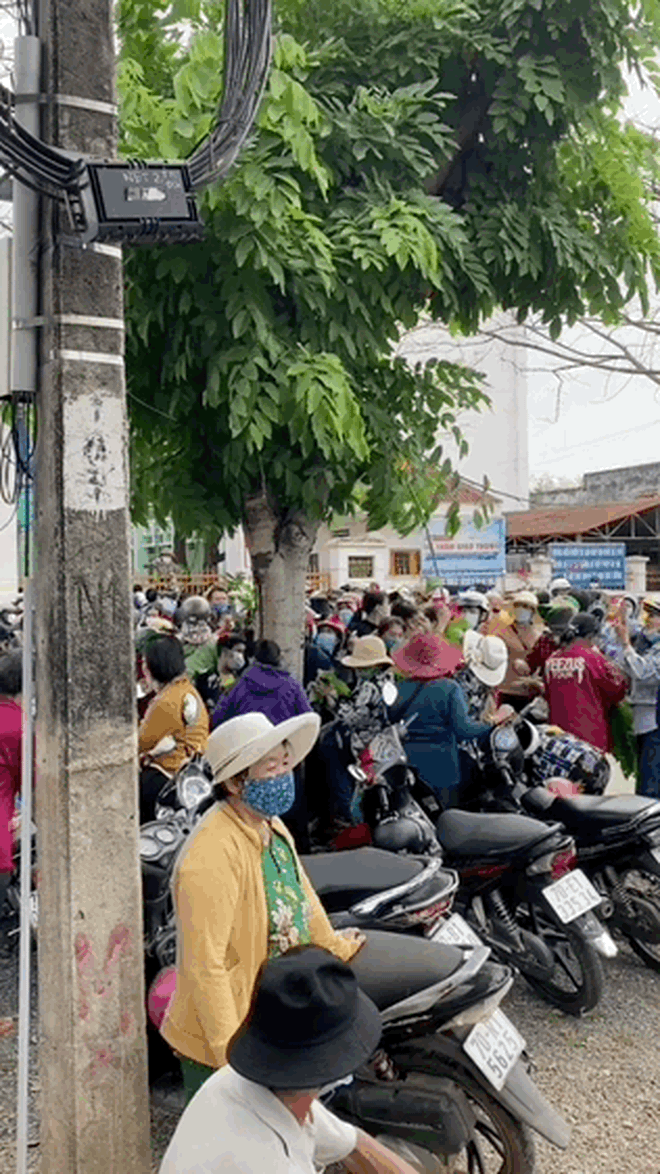  Ngơ ngác cảnh tượng có 1 0 2 ở Việt Nam: Cả chục người thi nhau vặt lá để lấy nó thay tiền đi mua... đồ ăn! - Ảnh 3.