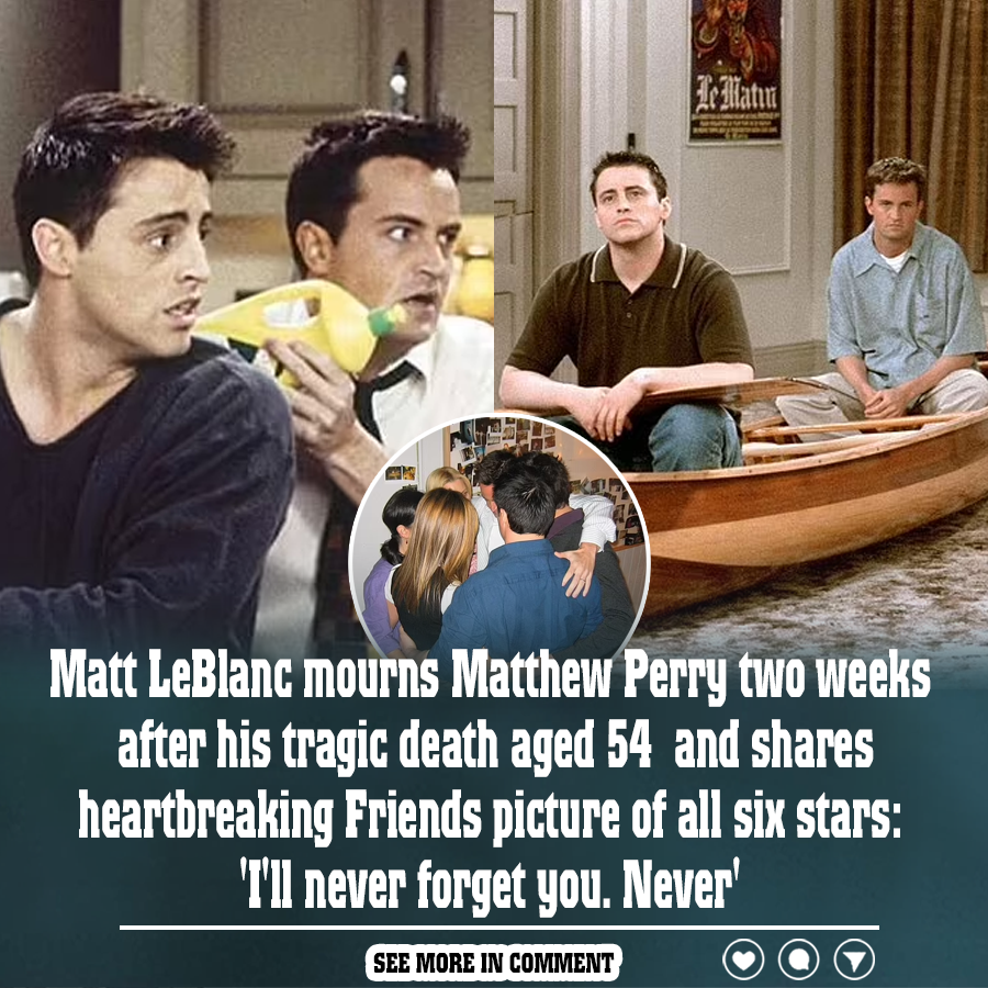 Matt LeBlanc mourns Matthew Perry two weeks after his tragic death aged ...