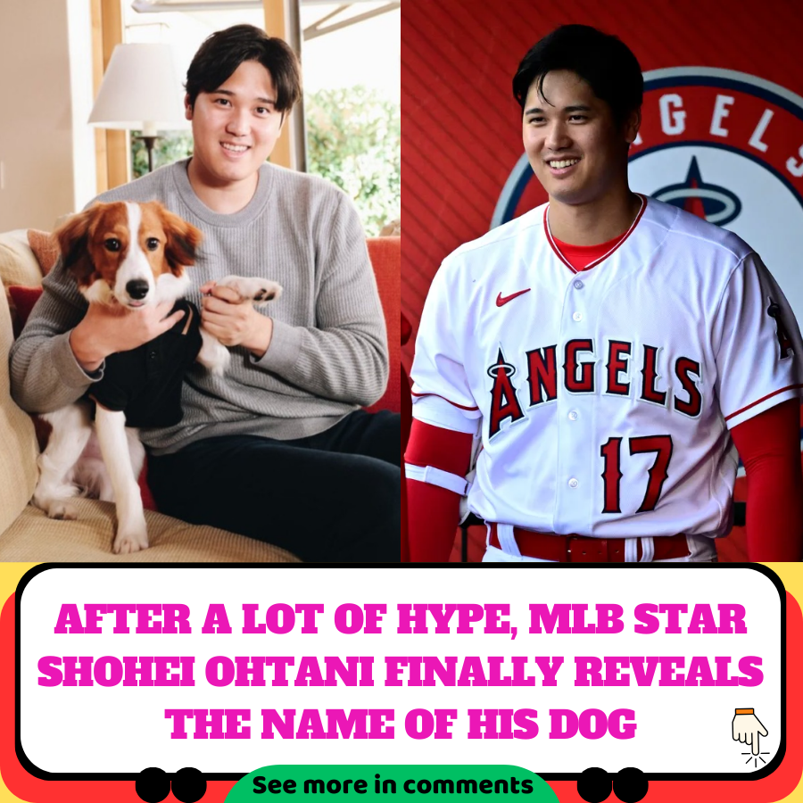 AFTER A LOT OF HYPE, MLB STAR SHOHEI OHTANI FINALLY REVEALS THE NAME OF ...