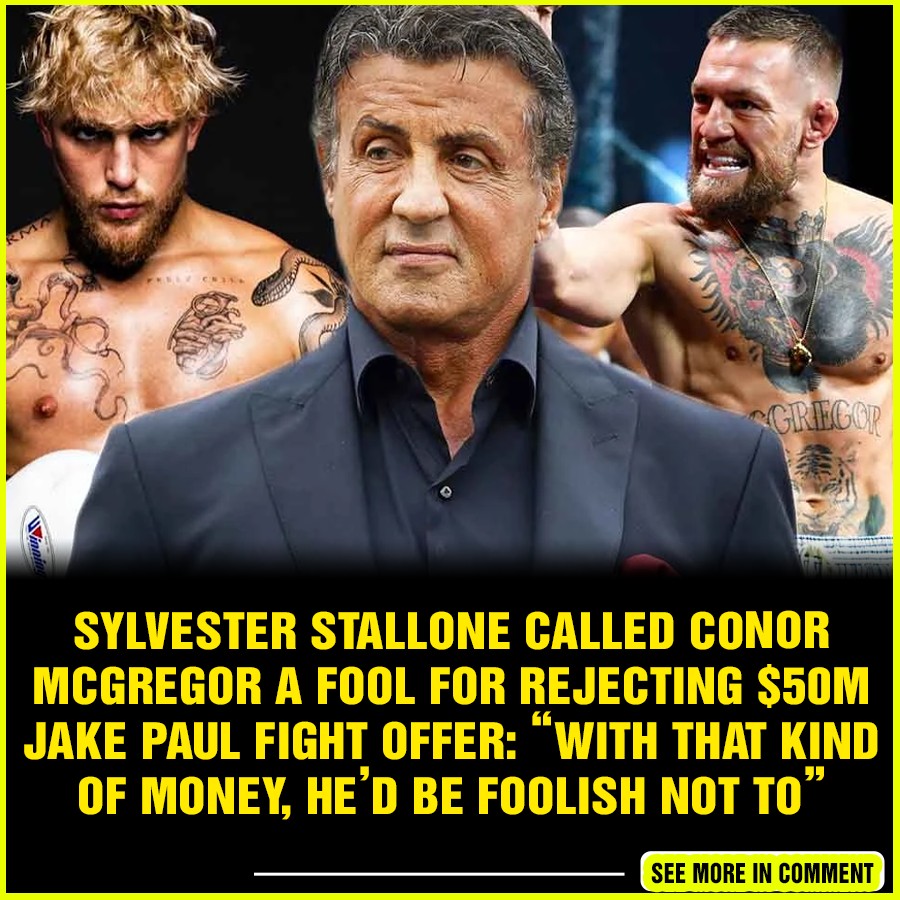 Sylvester Stallone Called Conor McGregor A Fool For Rejecting $50M Jake ...