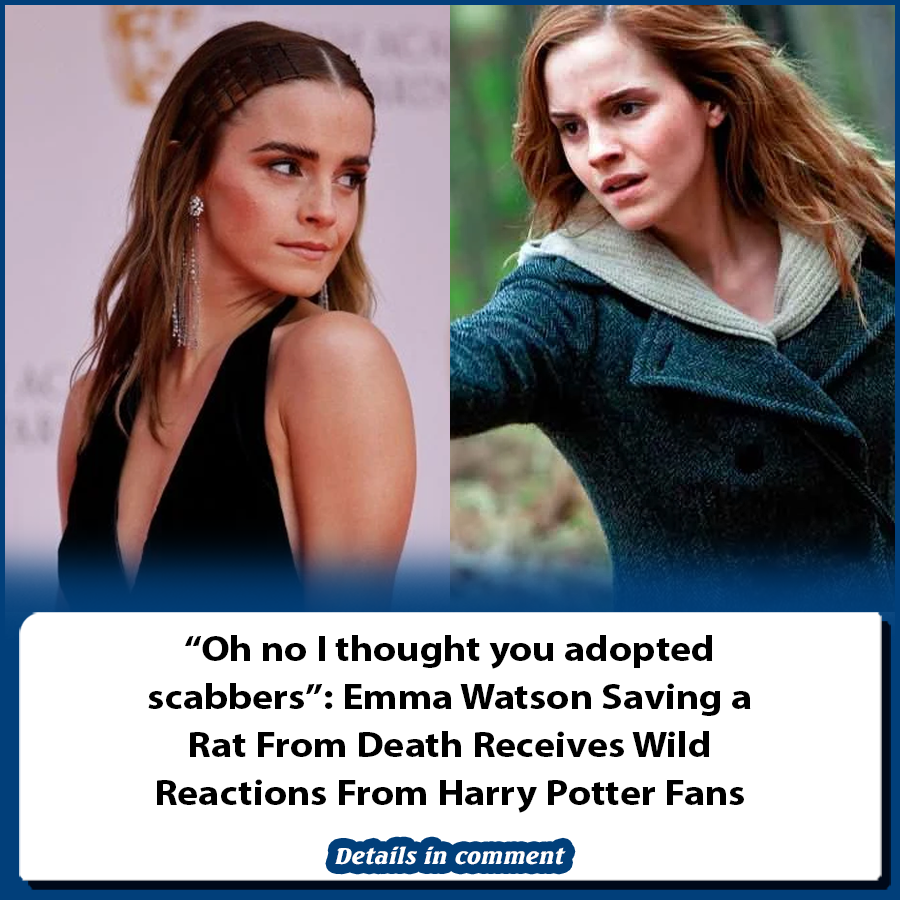 “Oh no I thought you adopted scabbers”: Emma Watson Saving a Rat From ...