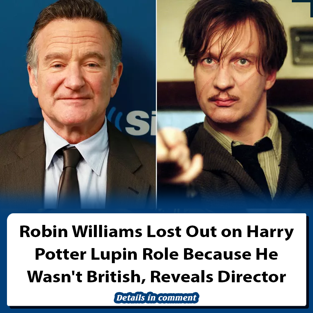 Robin Williams Lost Out on Harry Potter Lupin Role Because He Wasn't