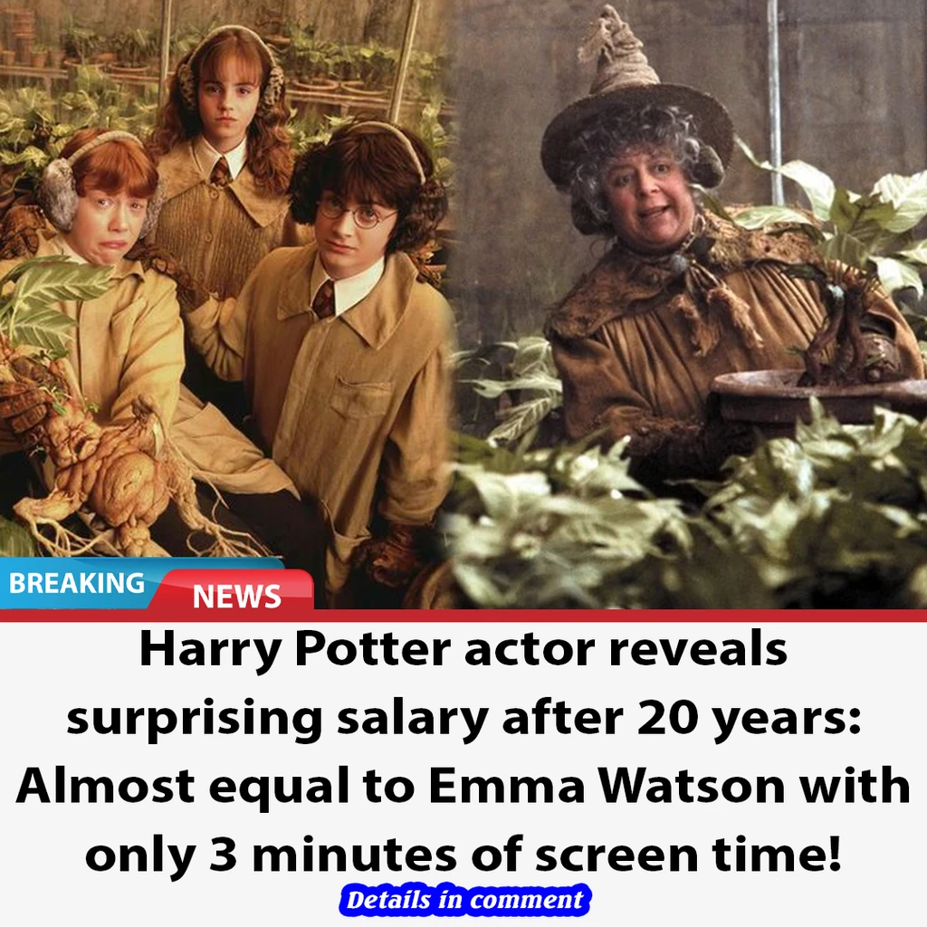 Harry Potter actor reveals surprising salary after 20 years Almost