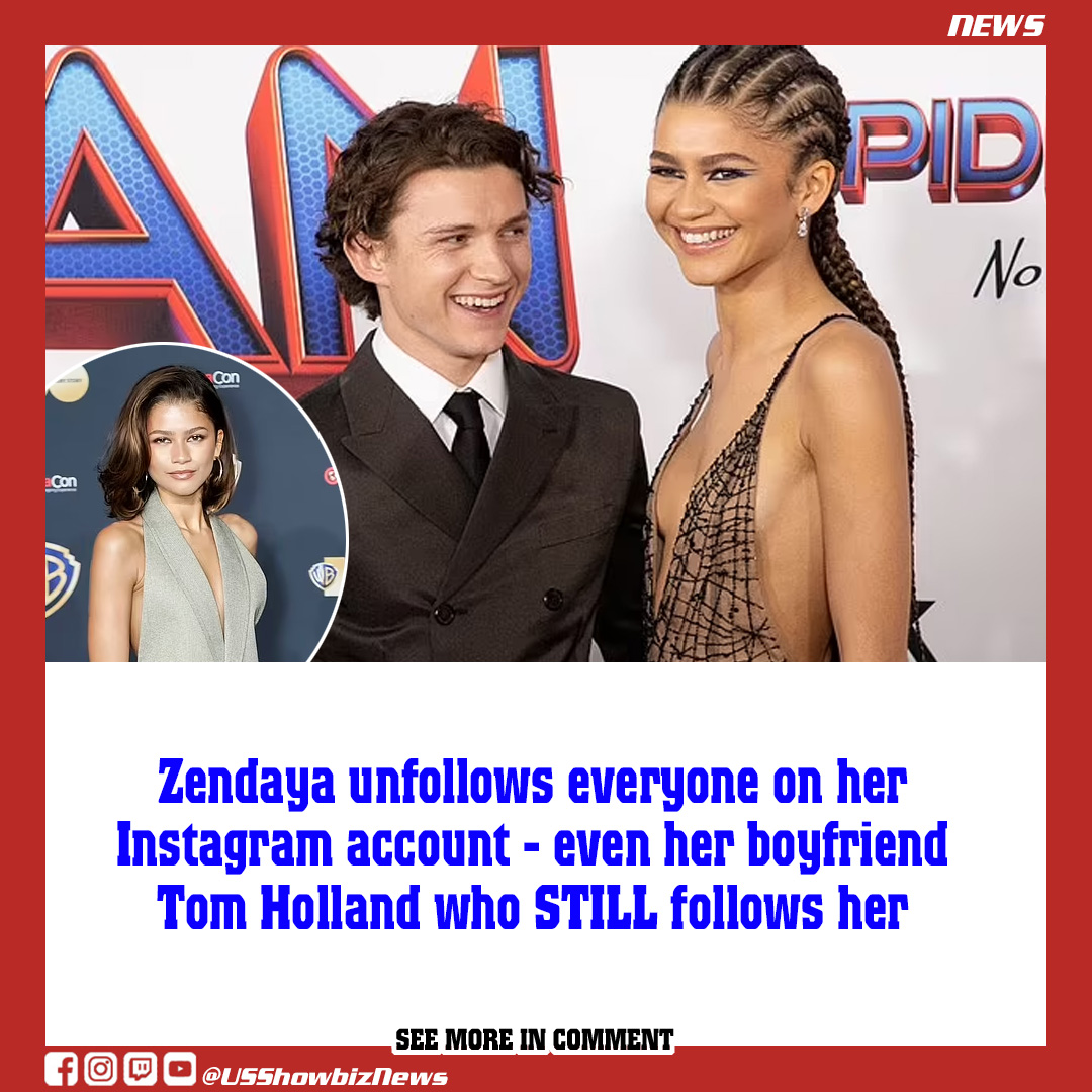 Zendaya unfollows everyone on her Instagram account even her