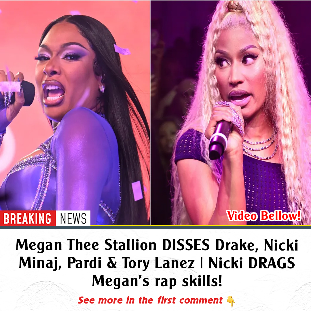 Megan Thee Stallion DISSES Drake, Nicki Minaj, Pardi & Tory Lanez ...