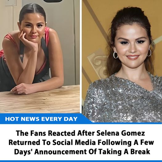 The Fans Reacted After Selena Gomez Returned To Social Media Following