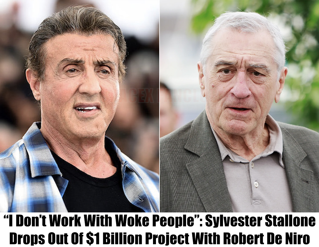 Breaking: Sylvester Stallone Withdraws from $1 Billion Project With ...