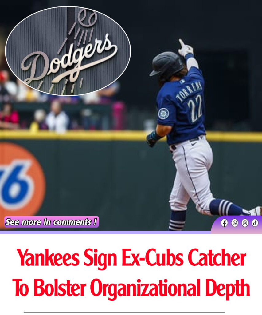 Yankees Sign Ex-Cubs Catcher To Bolster Organizational Depth - News