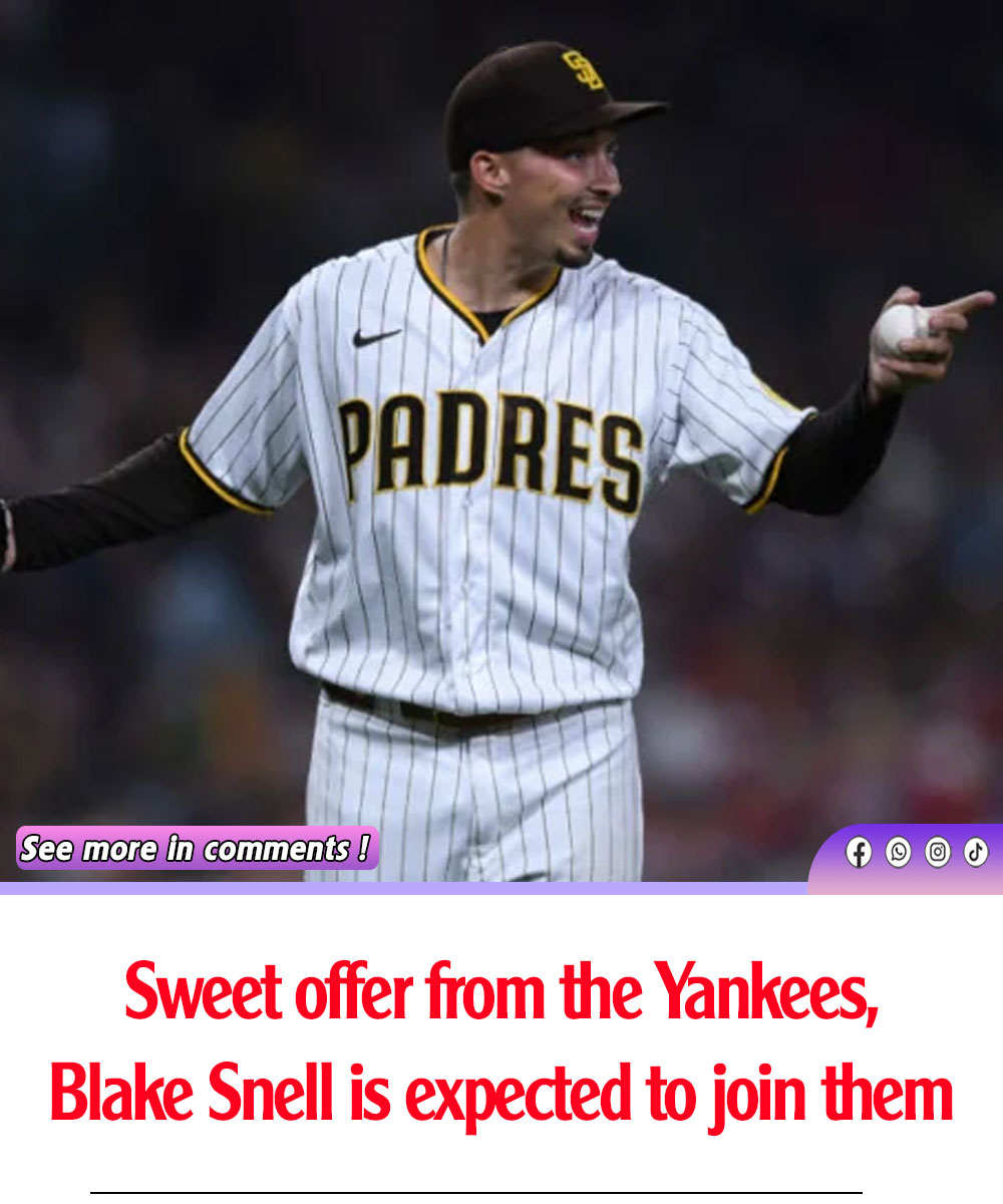 Sweet Offer From The Yankees, Blake Snell Is Expected To Join Them - News